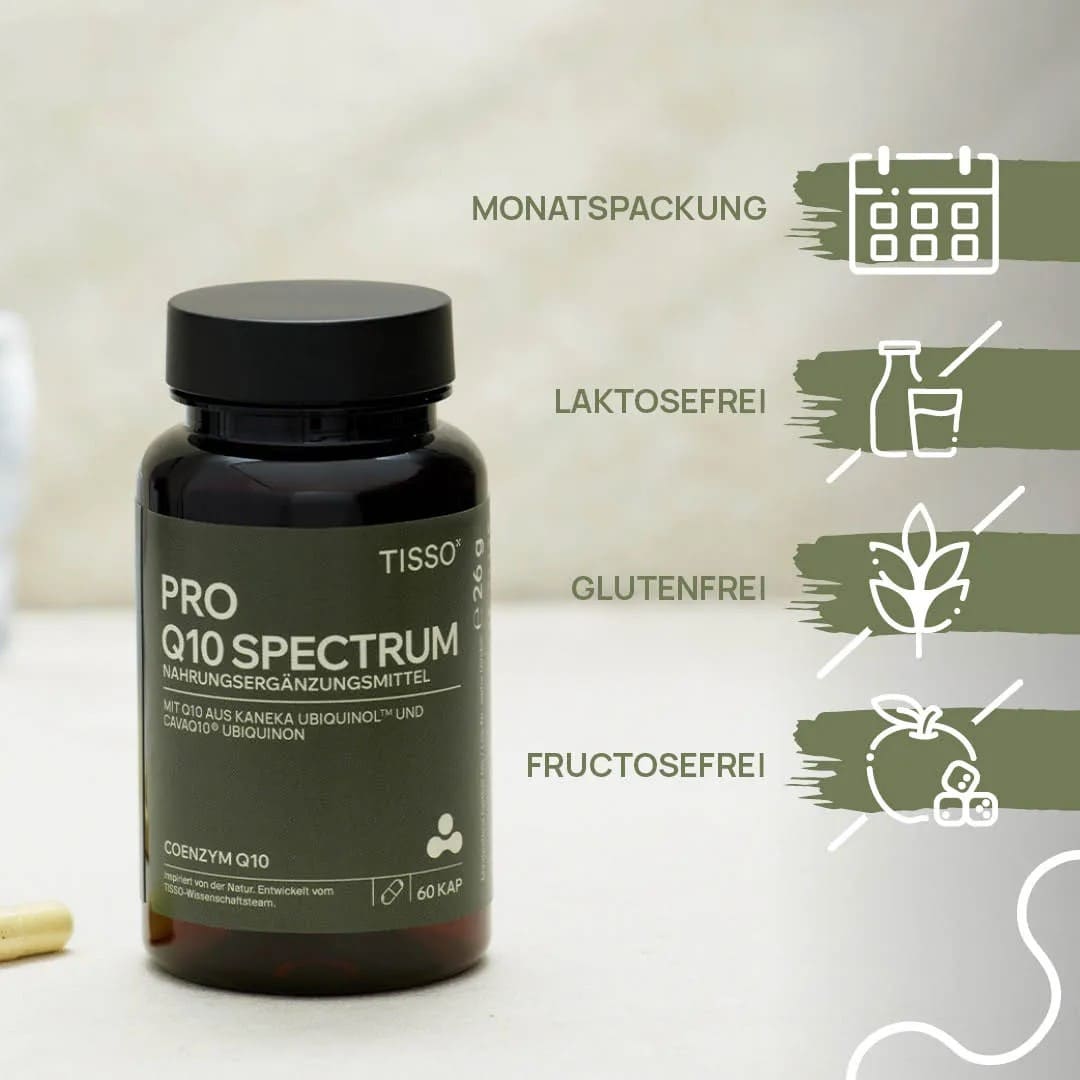 Про Q10 — изображение 3