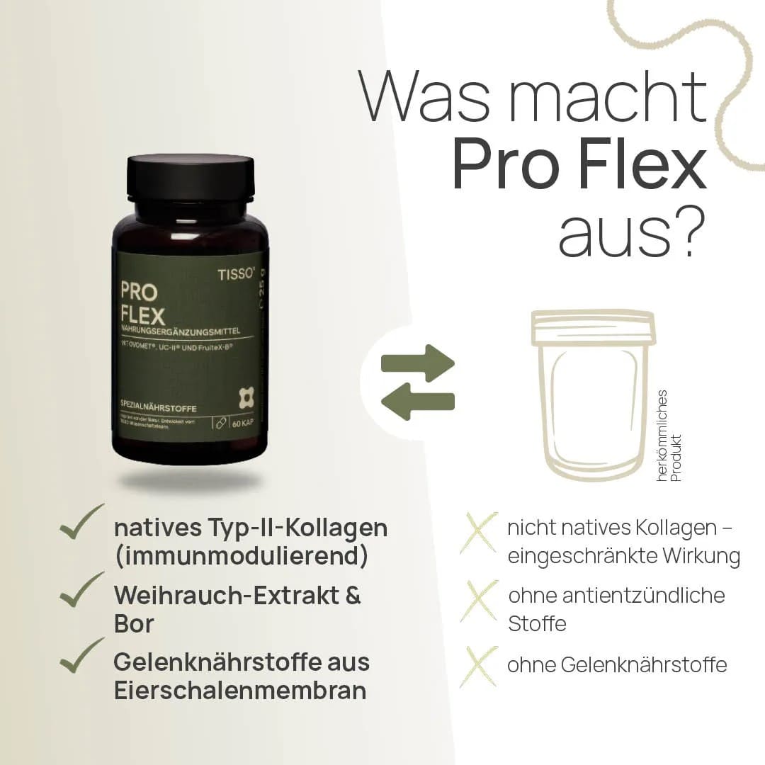 Про ФЛЕКС — изображение 2