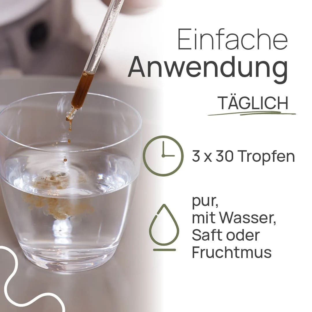 Pro INTEST alkoholivaba - Image 4