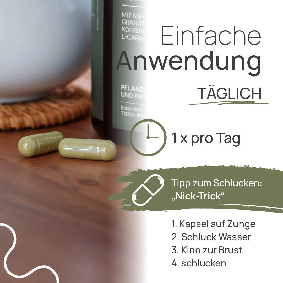 PRO OMNINEURO - Image 4