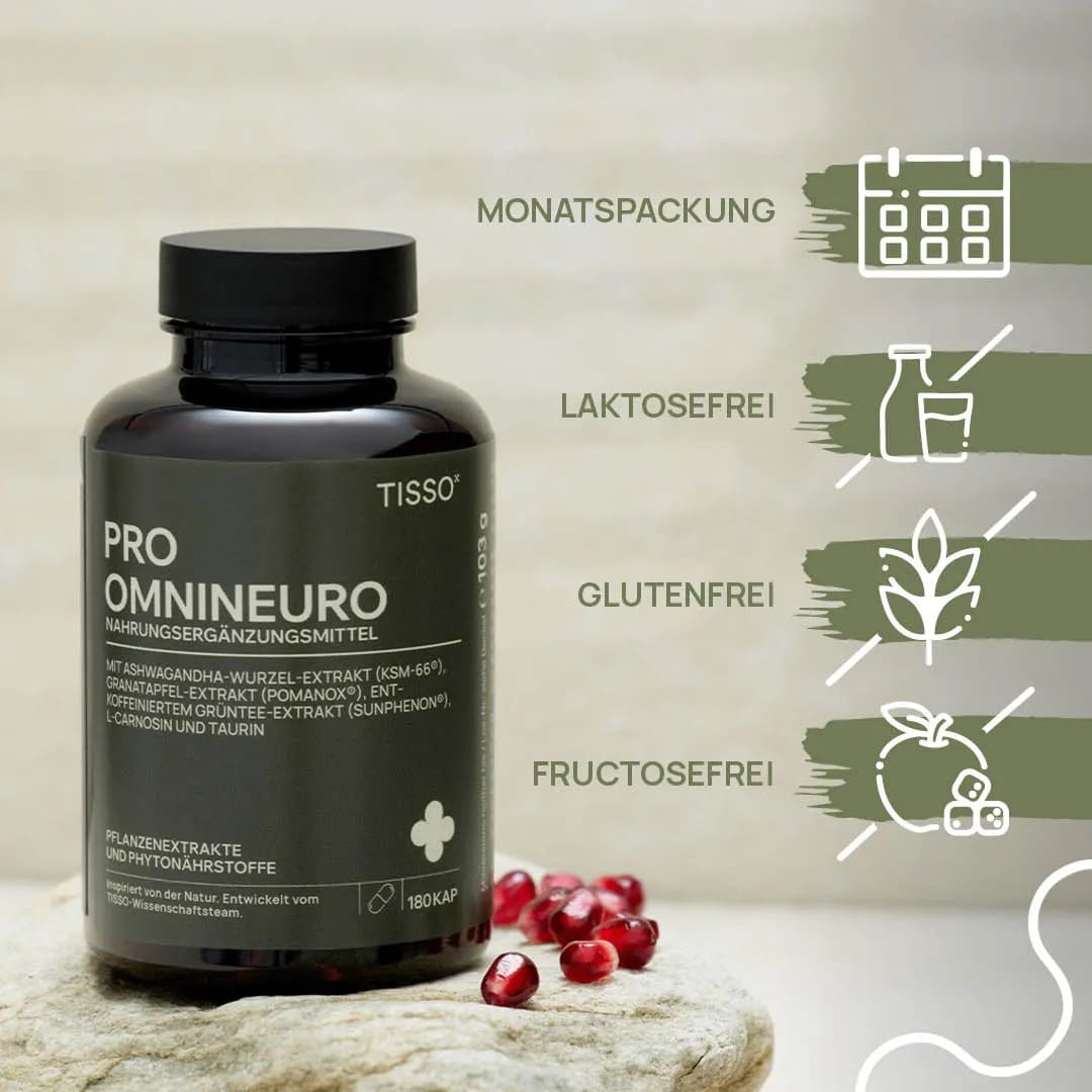 PRO OMNINEURO - Image 3