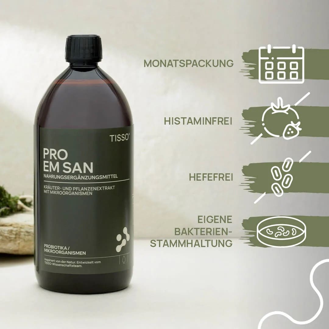 Про Эм Сан — изображение 2