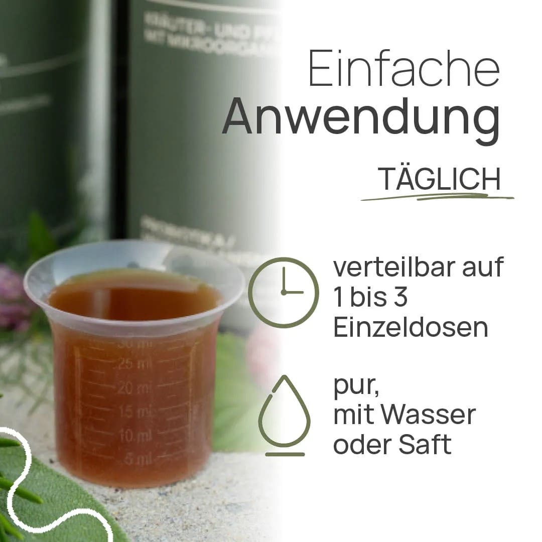 Про Эм Сан — изображение 3