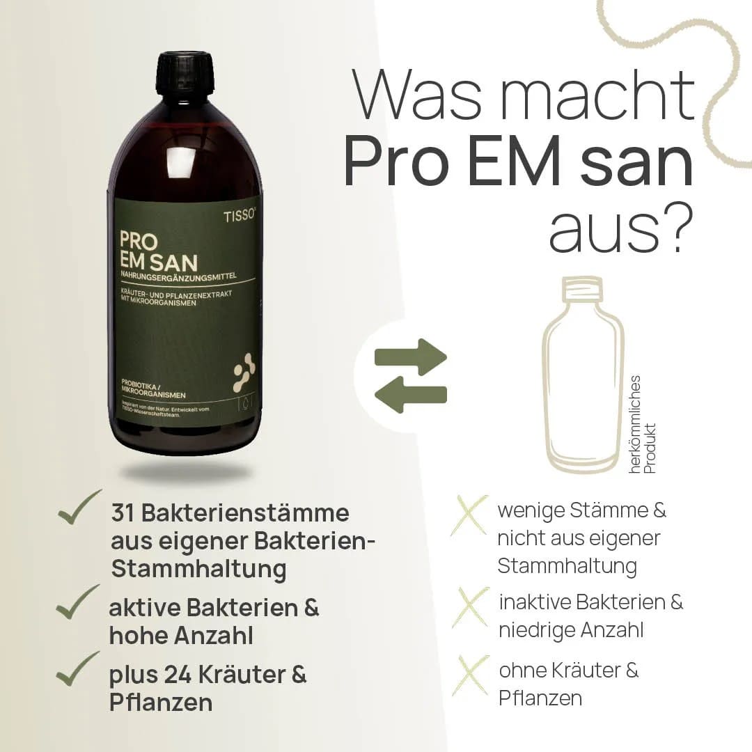 Про Эм Сан — изображение 4