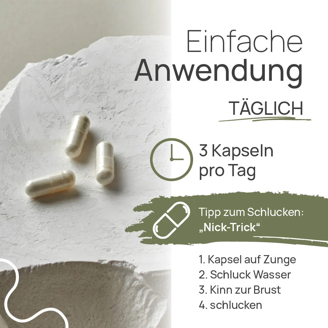 Pro PEA 600 - Image 3