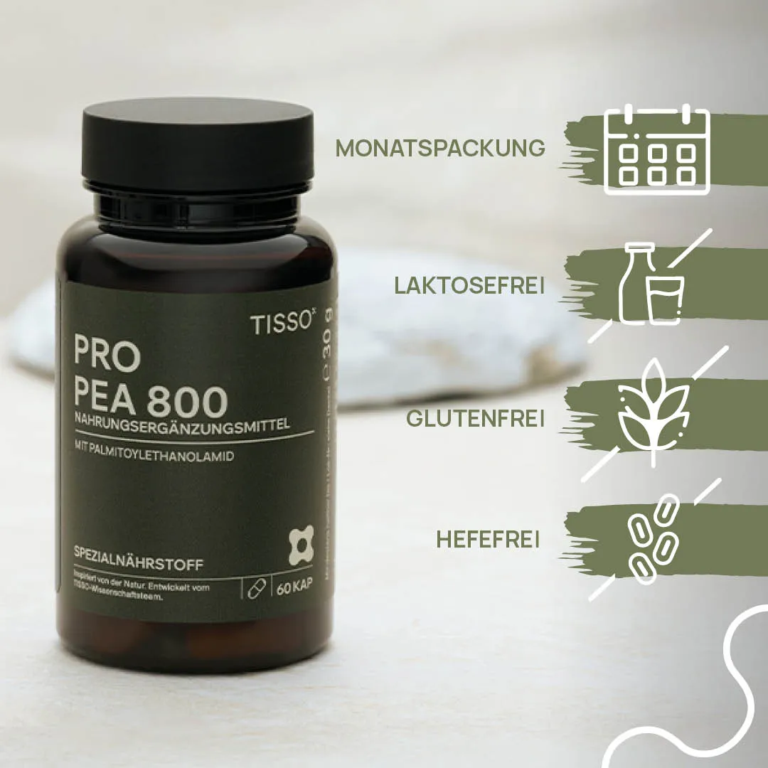 Pro PEA 800 - Image 4